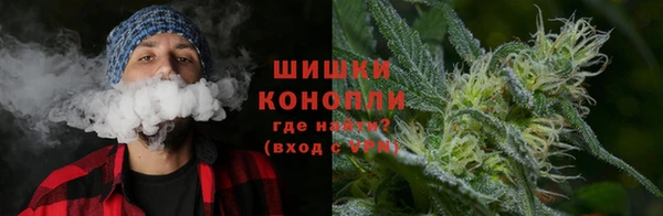 дмт Новокубанск
