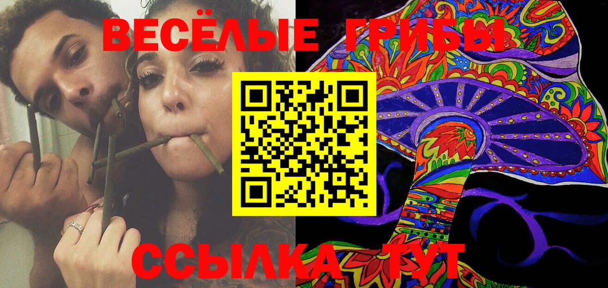 Псилоцибиновые грибы Psilocybe  Псилоцибиновые грибы MAGIC MUSHROOMS  Тихорецк  Вход с VPN 